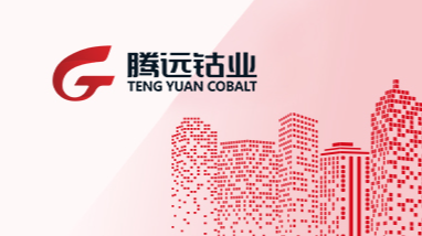 贛州騰遠鈷業(yè)新材料股份有限公司鈷產(chǎn)品碳足跡報告公示